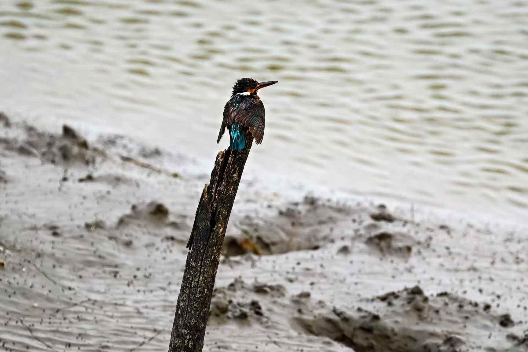 2fe7a0d2a5ae0a897961568adef96e12