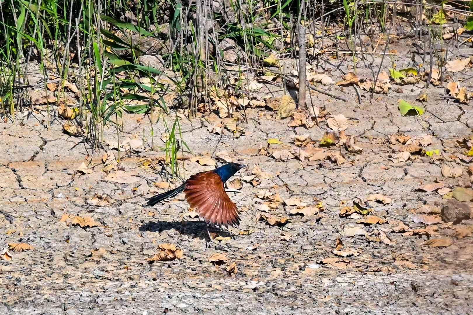 31cd2f3976450640e73d89d28ac962b6