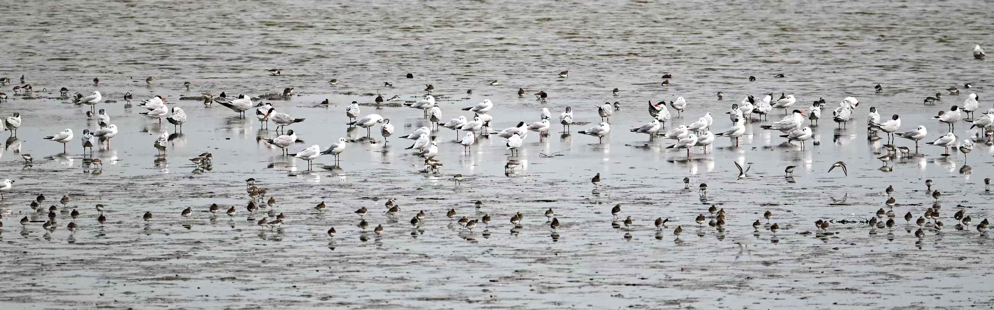 32461156bffc0b43f087ce7877e9933a