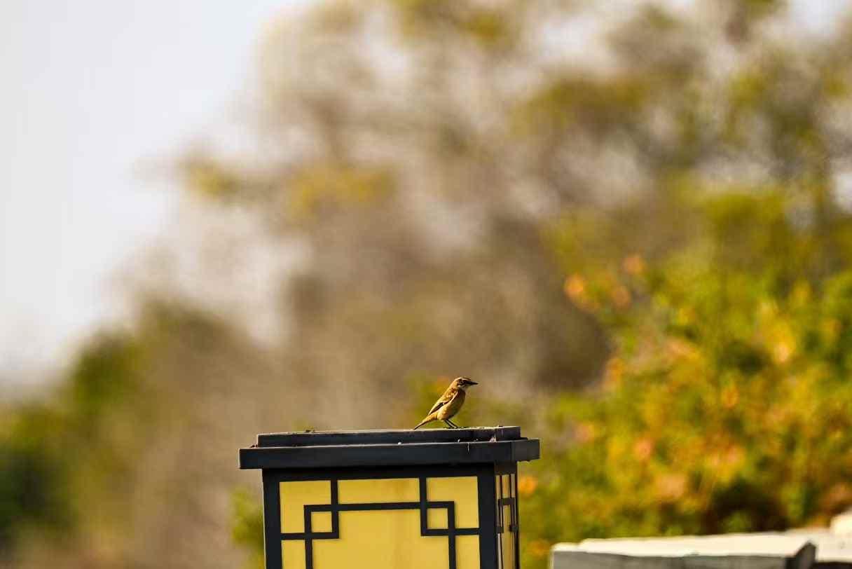 44d5ac9e25edd2d40c0bac26ef8e9fed