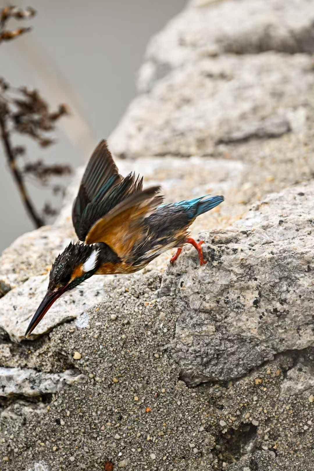 62214f1d69f5080f3ce27e9db6f38da7