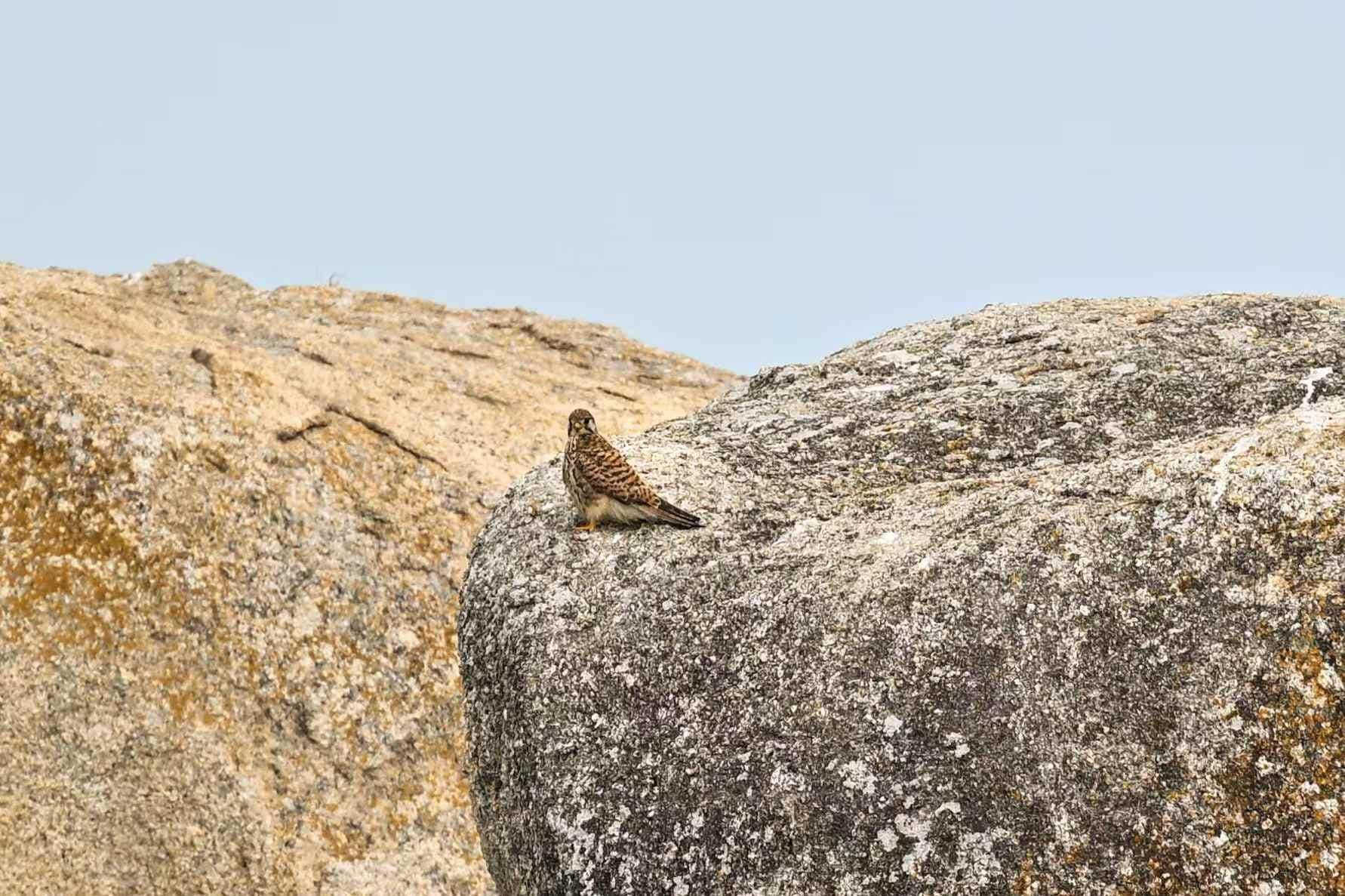 82b5a6dfff1504bf3149c0850f7ee0ef