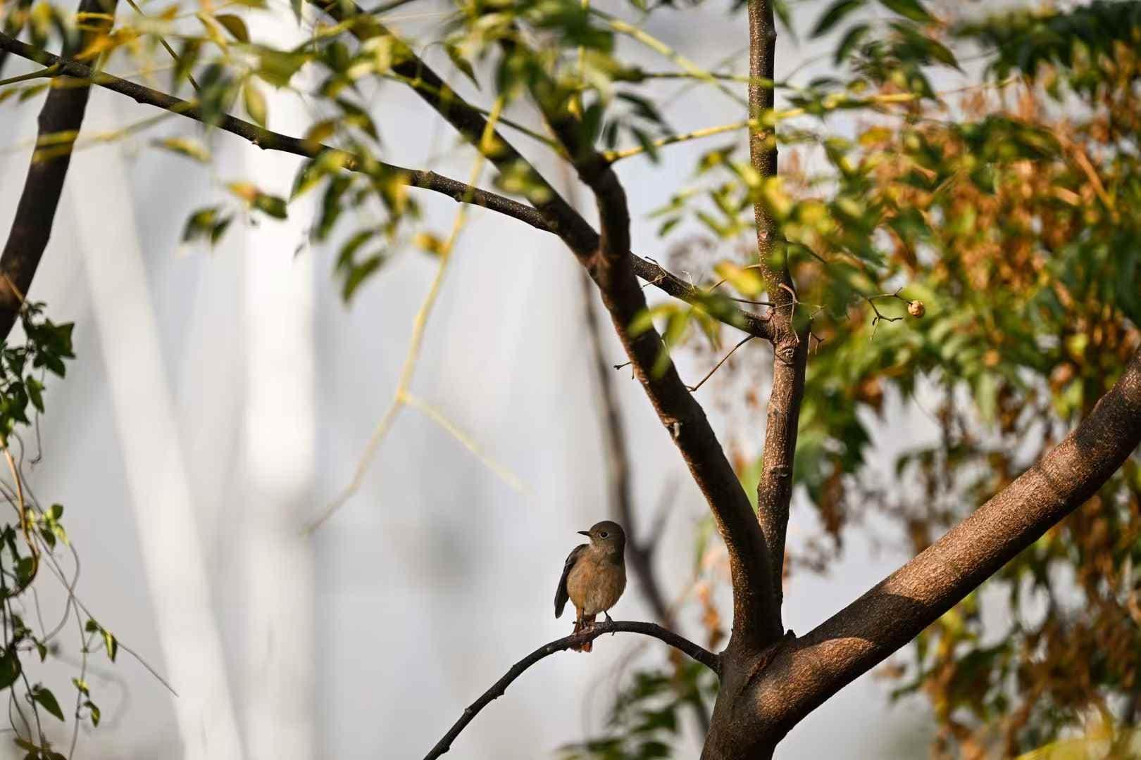 897c1021f8b2af1289c6b278177115af