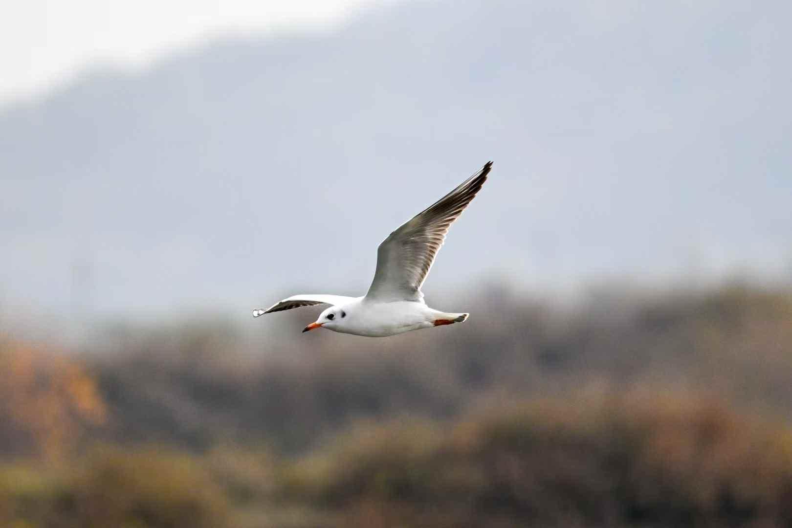 9e304cacac6a8b900c4149733fe34289