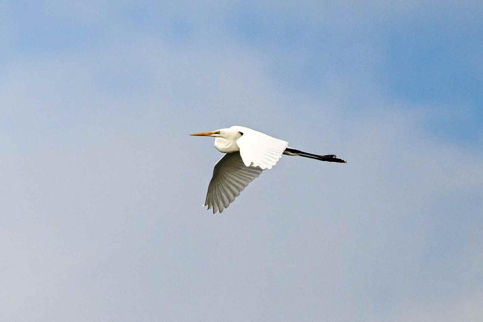 a611f5df06be3026880a2b8df30ae3f7