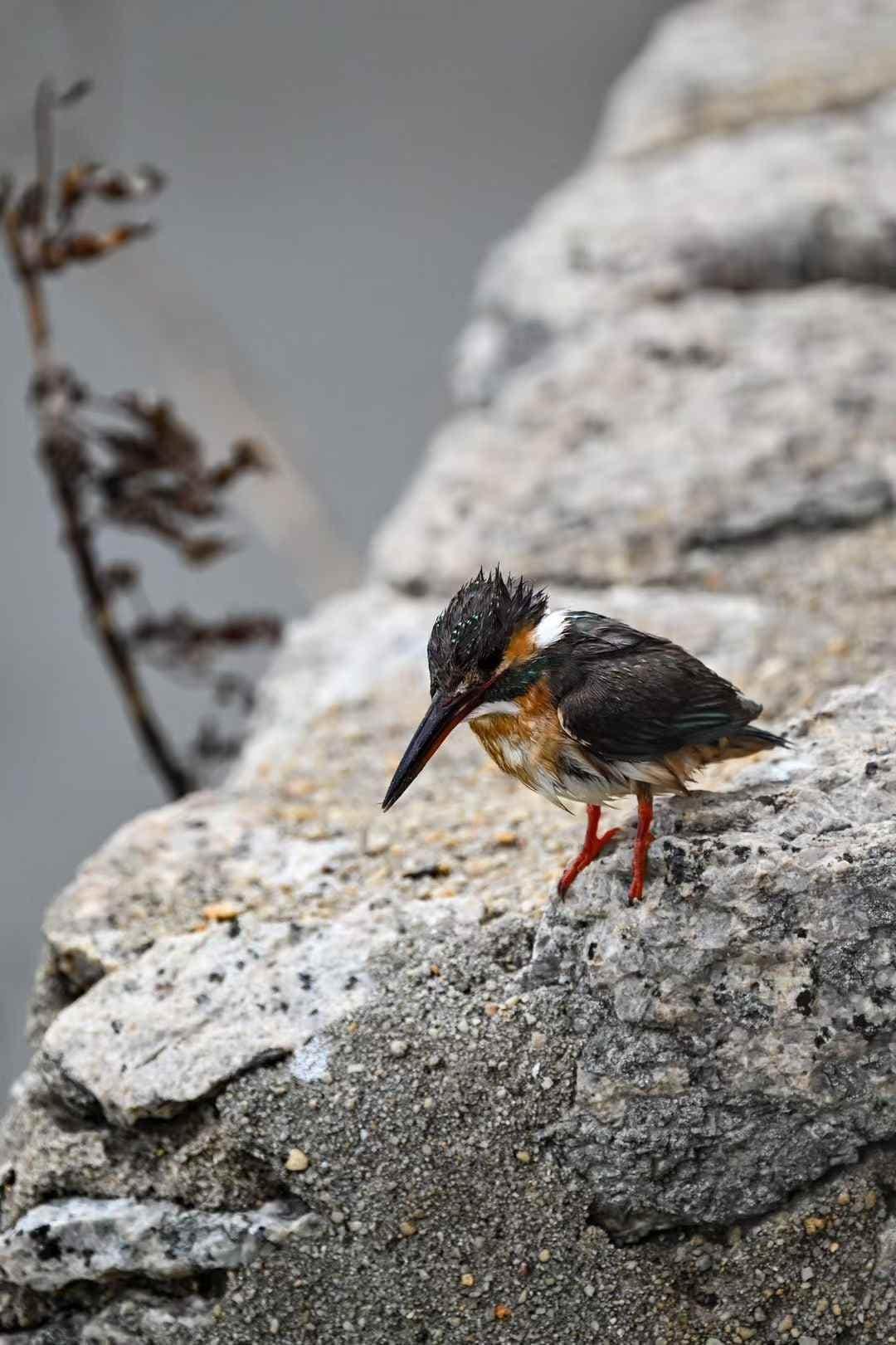 c55eae87a6f034347d57073943ec1bdd